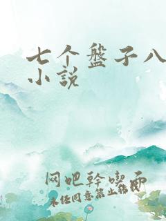 七个盘子八个碗小说
