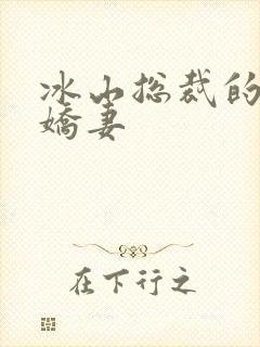 冰山总裁的掠爱娇妻