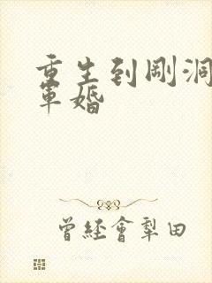 重生到刚洞房的军婚