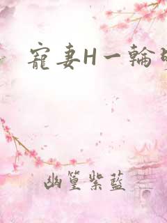 宠妻H一轮明月