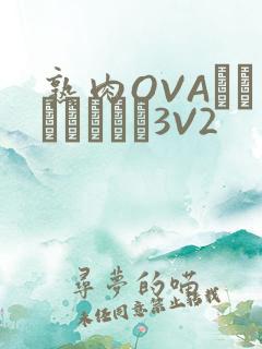 熟肉OVAちゃんはしたい3V2