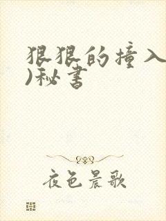 狠狠的撞入(h)秘书