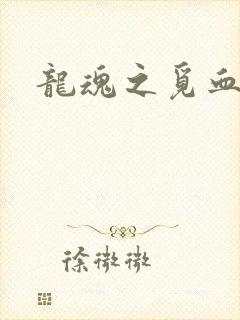 龙魂之觅血心缘