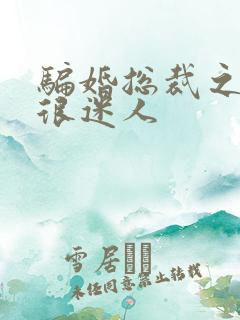 骗婚总裁之老婆很迷人