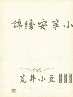 锦绣安宁小说