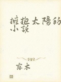 拥抱太阳的月亮小说