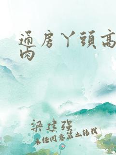 通房丫头高h纯肉