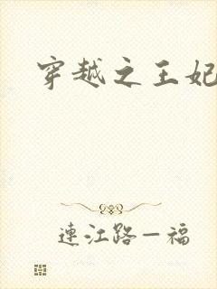 穿越之王妃有孕