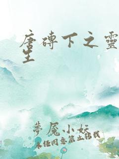 唐砖下之灵域双生