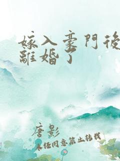 嫁入豪门后我又离婚了