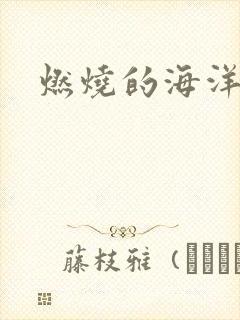 燃烧的海洋下载