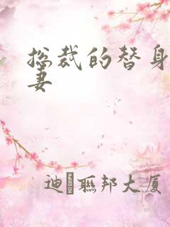 总裁的替身小娇妻