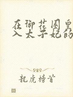 在御花园皇上进入太子妃的小说
