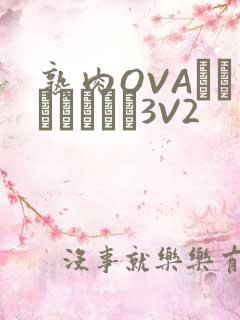熟肉OVAちゃんはしたい3V2