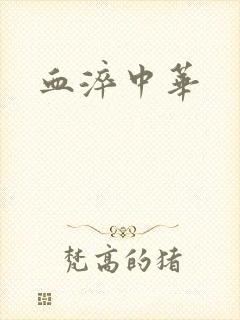 血淬中华