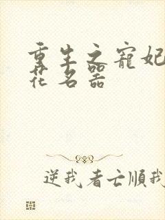 重生之宠妃白莲花名器