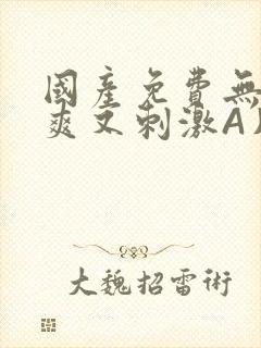 国产免费无码又爽又刺激A片小说