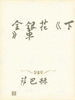 金银花《下厨房》车