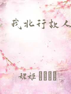 我北行故人南去