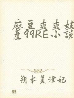 麻豆爽爽妓女国产99RE小说
