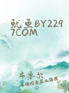 鱿鱼BY2297COM