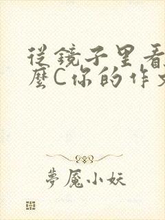 从镜子里看我怎么C你的作文