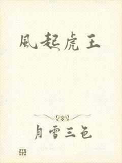 风起虎王