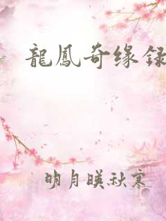 龙凤奇缘录
