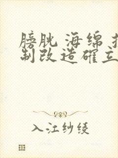 膀胱 海绵 控制改造确立m