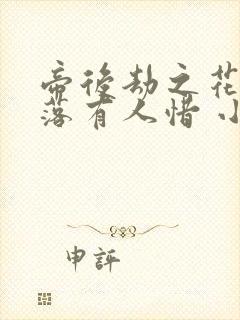 帝后劫之花开花落有人惜 小说