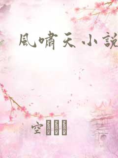 风啸天小说