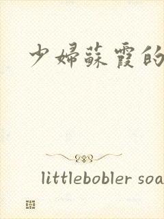 少妇苏霞的沉沦