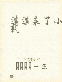 婆婆来了小说下载