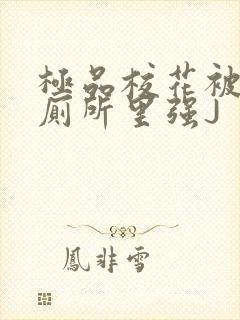 极品校花被拉到厕所里强J