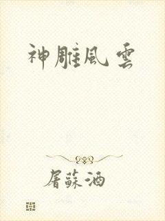 神雕风云