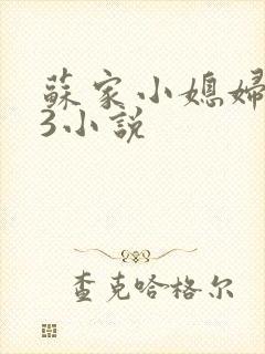 苏家小媳妇1V3小说