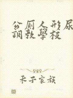 公厕人形尿便器调教学校