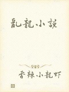 乱龙小说