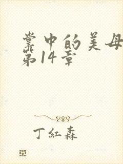 掌中的美母版主第14章