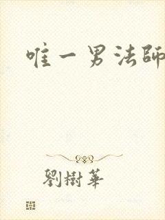 唯一男法师