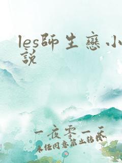 les师生恋小说