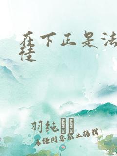 在下正是法外狂徒