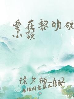 爱在黎明破晓前小说
