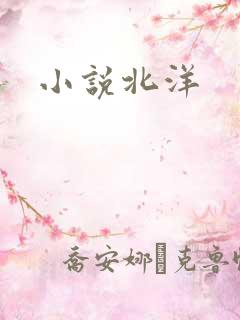 小说北洋