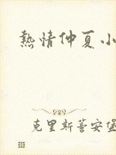 热情仲夏小说