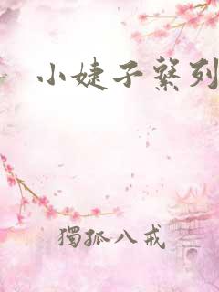 小婕子系列小说