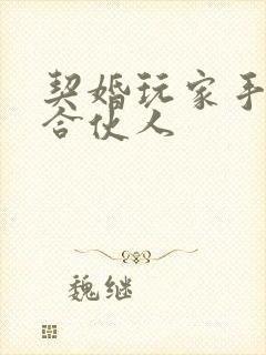 契婚玩家手册之合伙人