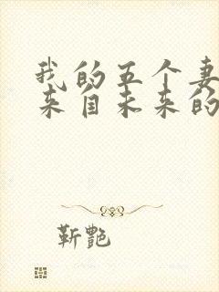 我的五个妻子和来自未来的孩子