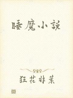 睡魔小说
