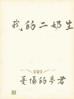 我的二奶生涯